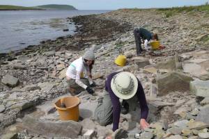 Archaeological field school in Rousay, Orkney Islands, Scotland, , by Dr Julie Bond and Dr Steve Dockrill, University of Bradford