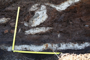 Reworked tephra layers Svinavatn, including Hekla 3, Svínavatn