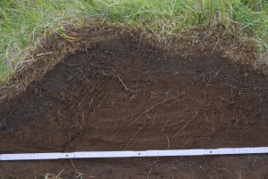 Thufur and  Grímsvötn 2010 at Kalfafell in 2021