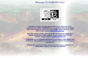 Cover image from FISHBONE