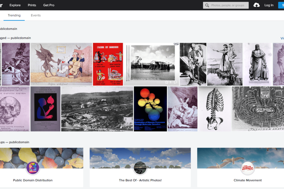 Screenshot of searching for public domain images on Flickr