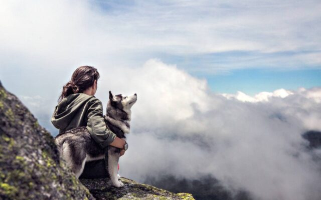 Girl on a mountain looking over clouds with a husky dog