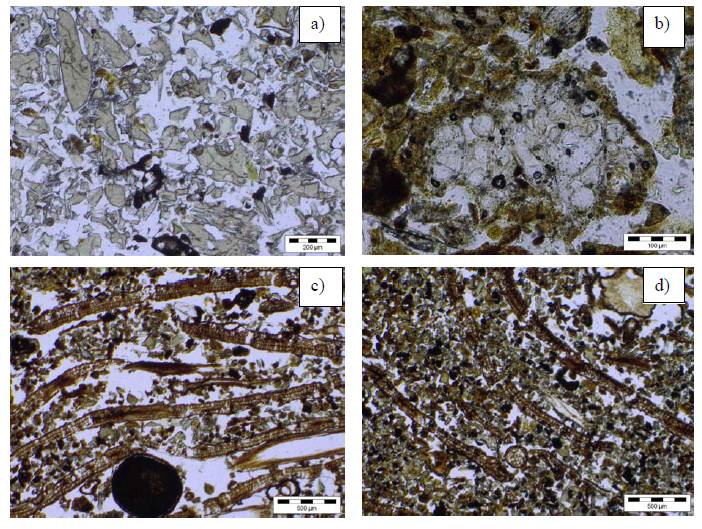 Photomicrographs of micromorphological features in Baldursheimur's winter grazing area soil.