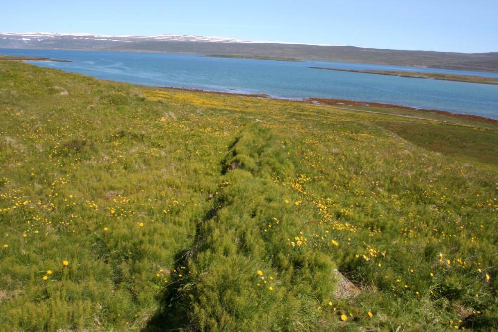 Photograph of wall at Vatnsfjorður.