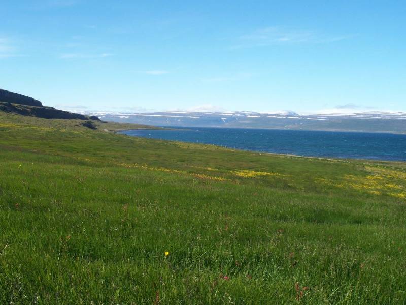 Photograph of Vatnsfjörður farm