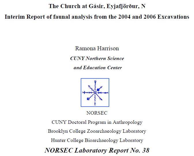 Gasir Church 2007 Report