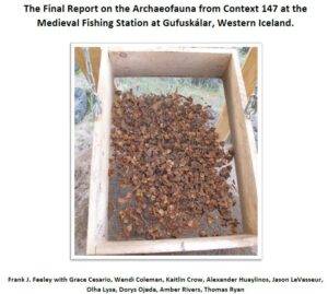 Gufuskálar 2018 Report