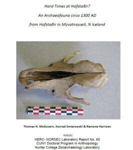 Hofstaðir 2013 Report