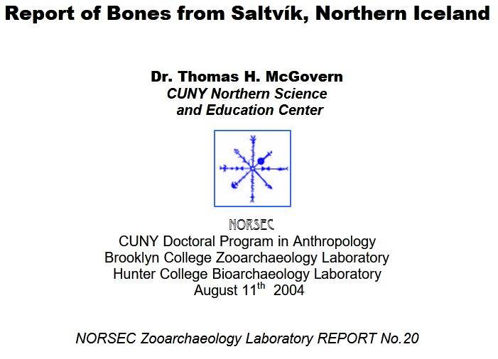 Saltvik 2004 report