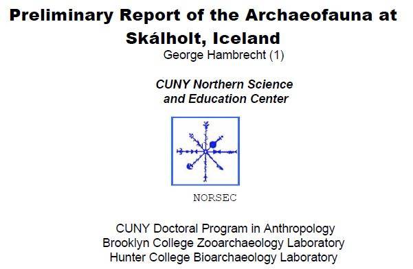 Skáholt 2007 Report