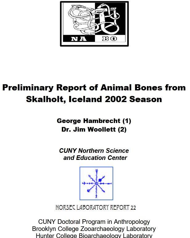 Skalholt 2002 Report