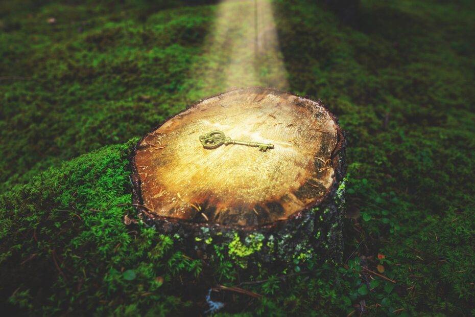 Picture of a key in a forest