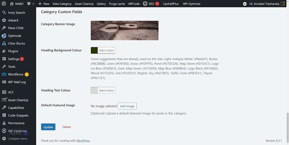 Screenshot: second set of category custom fields, including default banner image, header background colour and header text colour