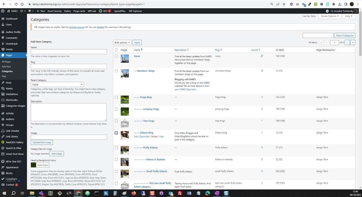 Screenshot: How to edit a category