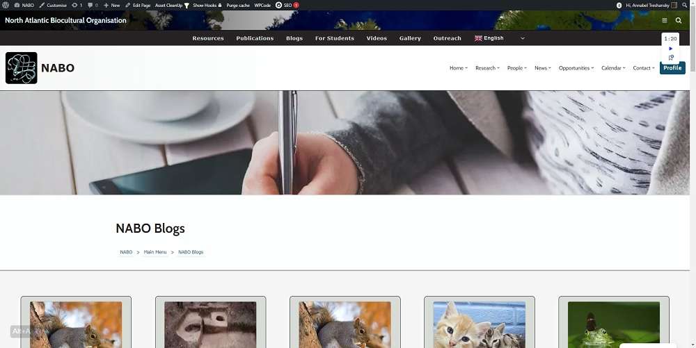 Screenshot of the NABO Blogs page