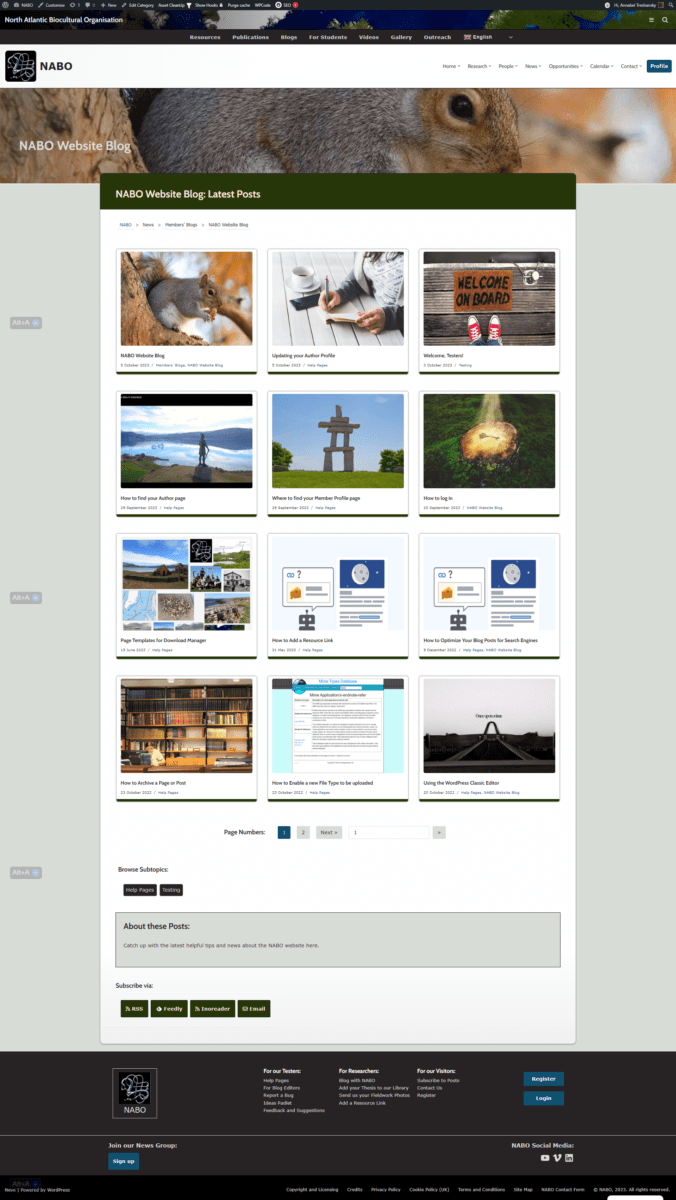 Screenshot showing the display format for categories with more than 4 posts