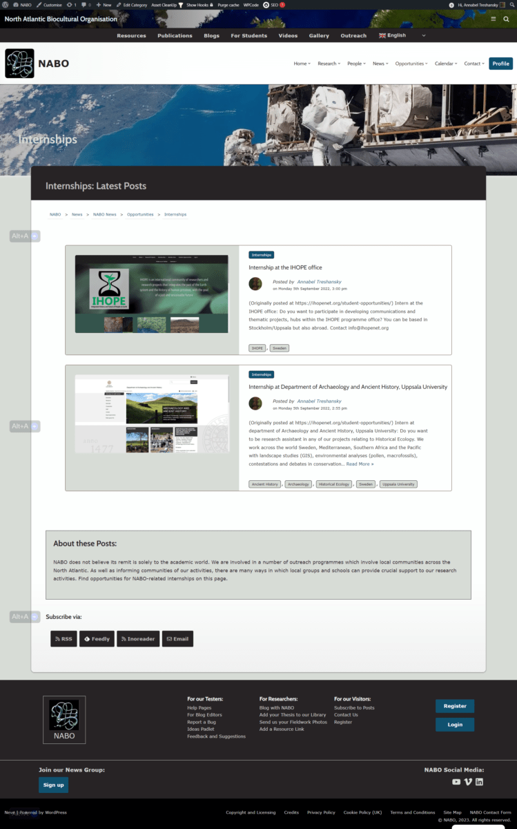 Screenshot showing the post display format for a category with 2-4 posts