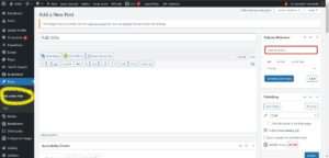 Screenshot of the Add a new post screen showing the classic editor in text view.