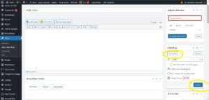Screenshot of the WordPress editing screen showing the options for saving drafts and publishing a post