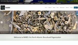 Image of new NABO website