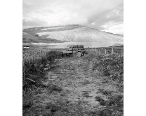 Natural experimental approach to vulnerability, resilience and adaptation in historic Greenland (2020)