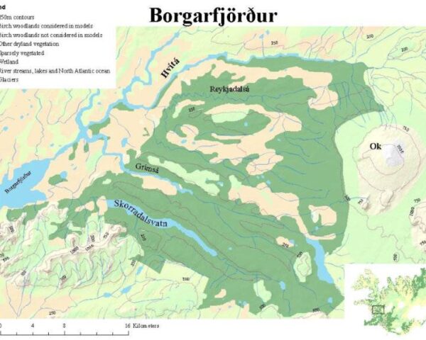 Map of the estimated extent of woodland cover in the region of Borgarfjörður