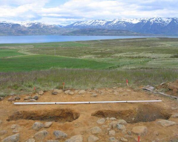 Photograph of the two burials (of men and their horses) found at Kálfskinn in 2003.