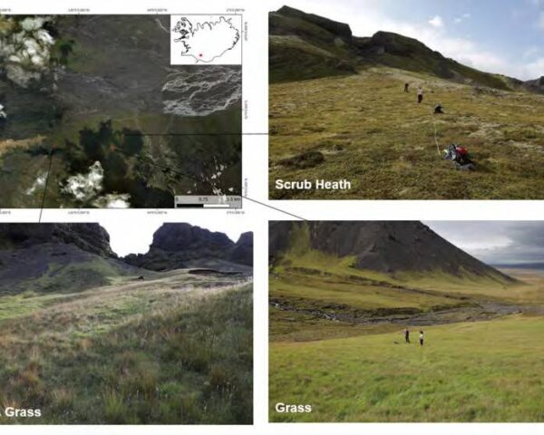 Photograph of Langanes site, with images of each slope highlighting the different vegetation coverage on each slope.