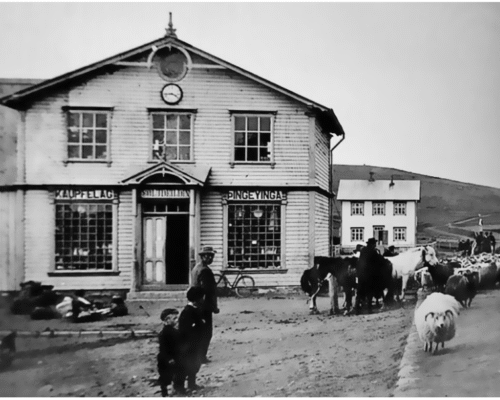 Community, Ecology, and Modernity: Faunal Analysis of Skútustaðir in Mývatnssveit, Northern Iceland (2019)