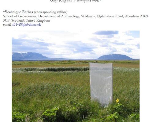 Archaeoentomological investigations at Skútustaðir, Mývatnssveit, N-Iceland