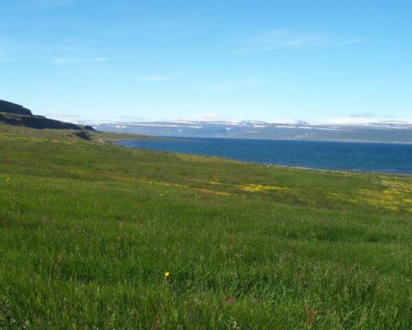 Photograph of Vatnsfjörður farm